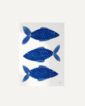 Three Blue Fish